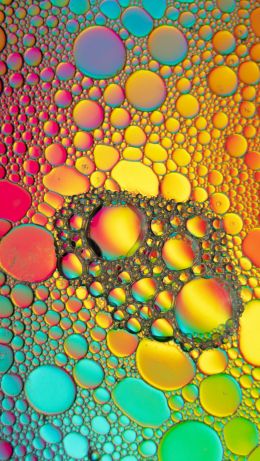 bubbles, gradient, abstraction Wallpaper 640x1136