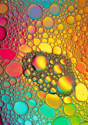 bubbles, gradient, abstraction Wallpaper 1668x2388