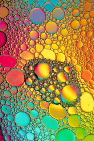 bubbles, gradient, abstraction Wallpaper 3456x5184