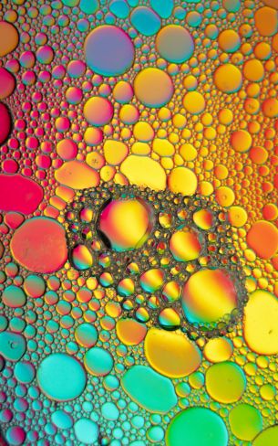 bubbles, gradient, abstraction Wallpaper 800x1280