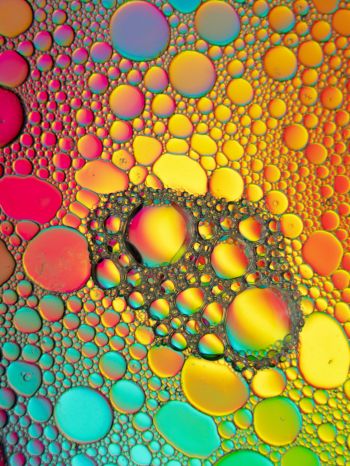 bubbles, gradient, abstraction Wallpaper 1668x2224