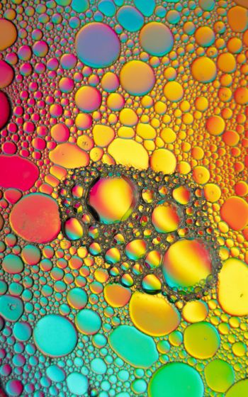 bubbles, gradient, abstraction Wallpaper 800x1280