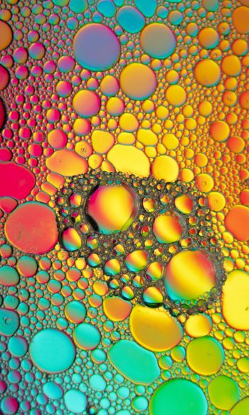 bubbles, gradient, abstraction Wallpaper 1200x2000