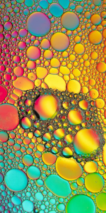 bubbles, gradient, abstraction Wallpaper 720x1440