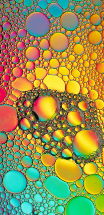bubbles, gradient, abstraction Wallpaper 1080x2220