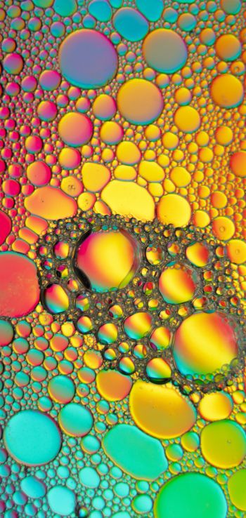 bubbles, gradient, abstraction Wallpaper 720x1520