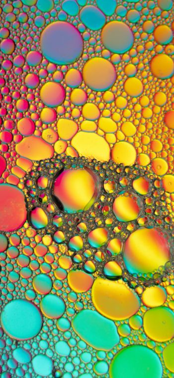 bubbles, gradient, abstraction Wallpaper 1284x2778