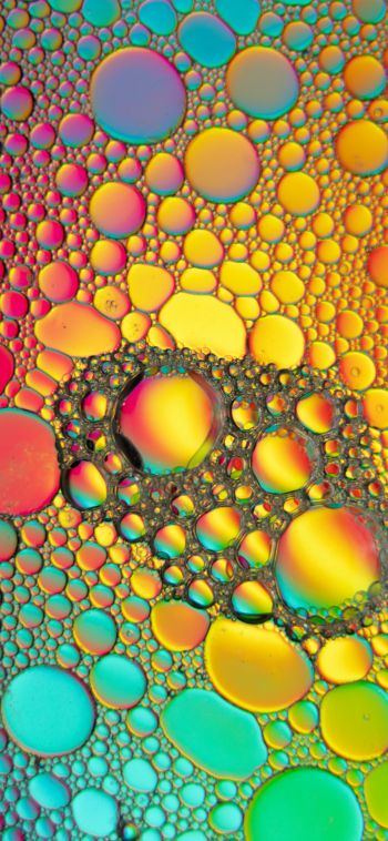bubbles, gradient, abstraction Wallpaper 1080x2340