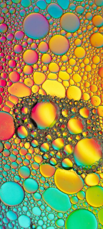 bubbles, gradient, abstraction Wallpaper 720x1600