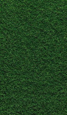 lawn, grass, green Wallpaper 600x1024