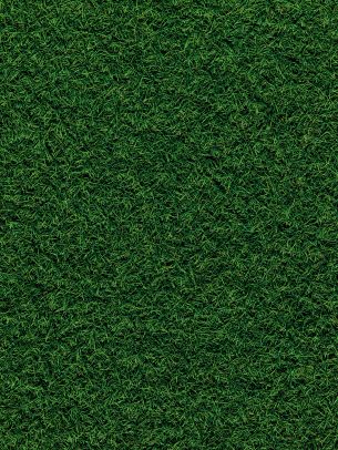 Обои 2048x2732 газон, трава, зеленый