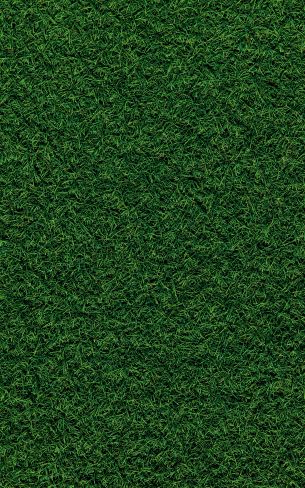 Обои 800x1280 газон, трава, зеленый