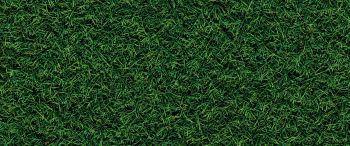 lawn, grass, green Wallpaper 3440x1440