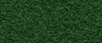 Обои 2560x1080 газон, трава, зеленый