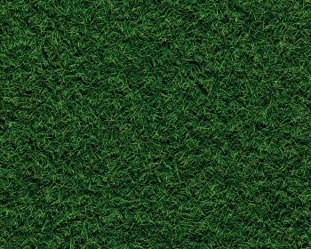 lawn, grass, green Wallpaper 1280x1024