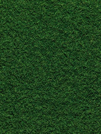 Обои 1536x2048 газон, трава, зеленый