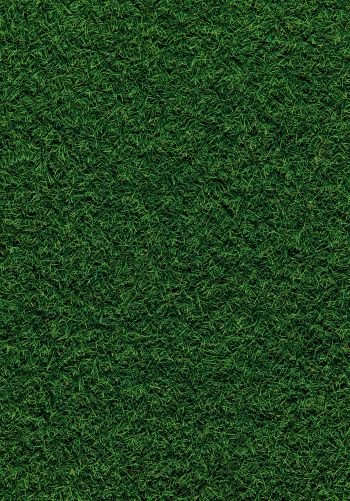 lawn, grass, green Wallpaper 1668x2388