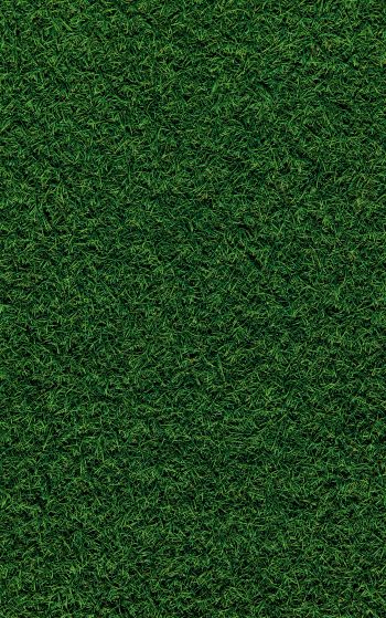 lawn, grass, green Wallpaper 1752x2800