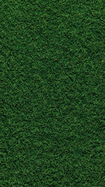 Обои 640x1136 газон, трава, зеленый