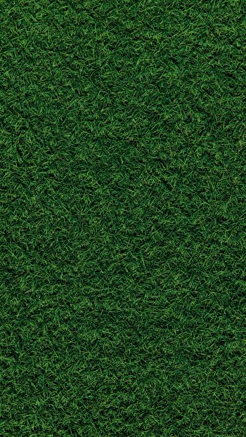 Обои 720x1280 газон, трава, зеленый