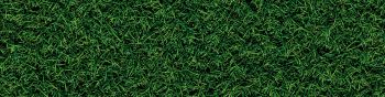 lawn, grass, green Wallpaper 1590x400