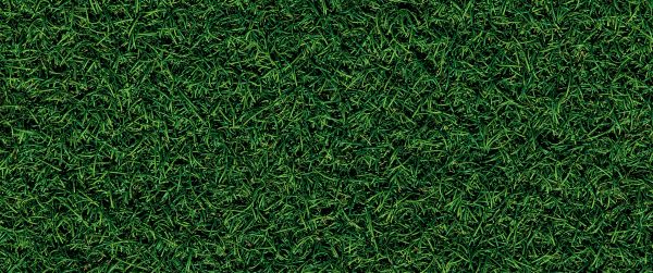 lawn, grass, green Wallpaper 3440x1440