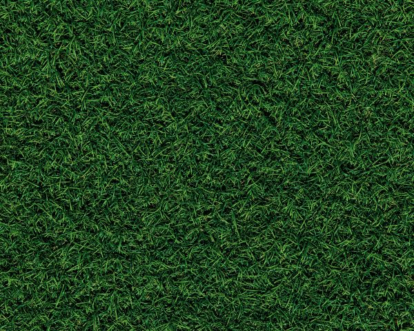 Обои 1280x1024 газон, трава, зеленый