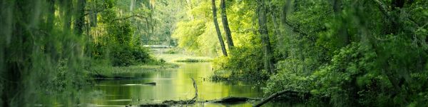 green, swamp, landscape Wallpaper 1590x400