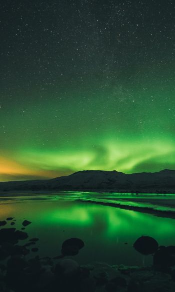 northern lights, landscape, green Wallpaper 1200x2000