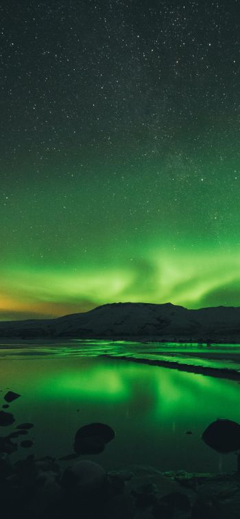northern lights, landscape, green Wallpaper 828x1792