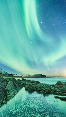 northern lights, night, green Wallpaper 640x1136