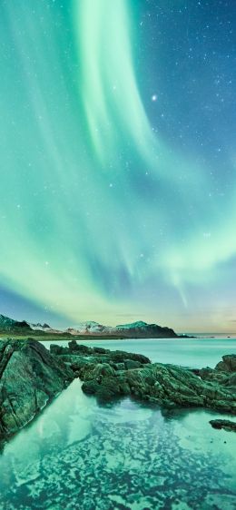 northern lights, night, green Wallpaper 828x1792