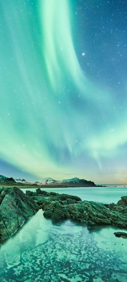 northern lights, night, green Wallpaper 1440x3200