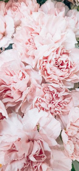 peony, bouquet, pink Wallpaper 1125x2436