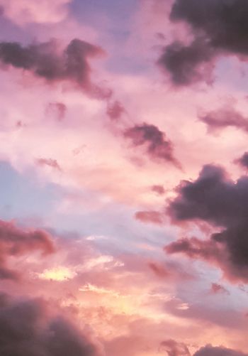 pink sky, clouds Wallpaper 1668x2388