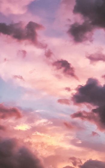 pink sky, clouds Wallpaper 1752x2800
