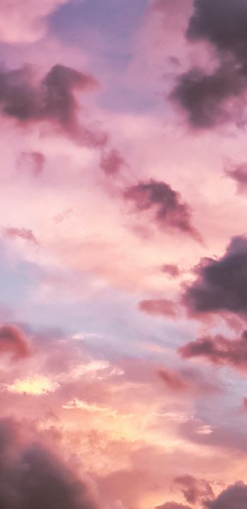 Обои 1440x2960 розовое небо, облака