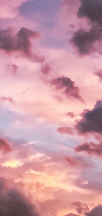 Обои 720x1520 розовое небо, облака