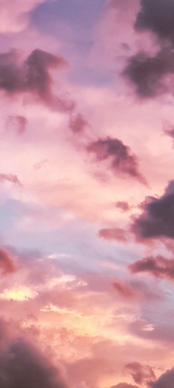 Обои 1440x3200 розовое небо, облака