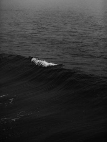 sea, black Wallpaper 1620x2160