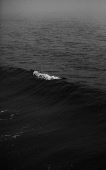 sea, black Wallpaper 1752x2800