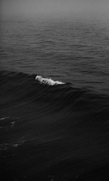 sea, black Wallpaper 1200x2000