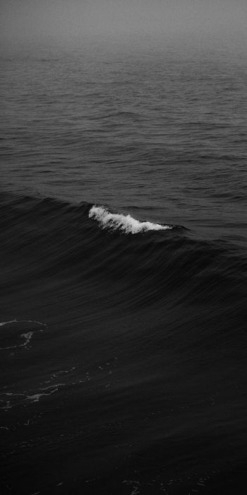 sea, black Wallpaper 720x1440