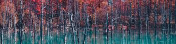 lake, forest, red Wallpaper 1590x400